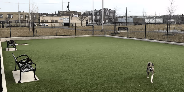 Lanier Dog Park photo 1